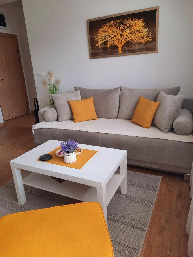 Vrnjačka Banja Bankovic Apartman מראה חיצוני תמונה
