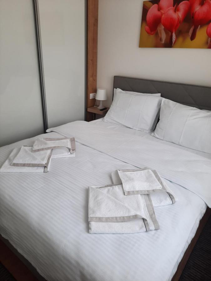 Vrnjačka Banja Bankovic Apartman מראה חיצוני תמונה