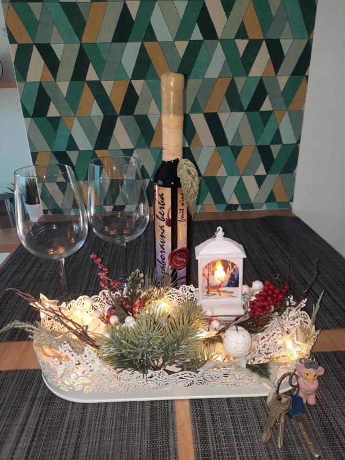 Vrnjačka Banja Bankovic Apartman מראה חיצוני תמונה
