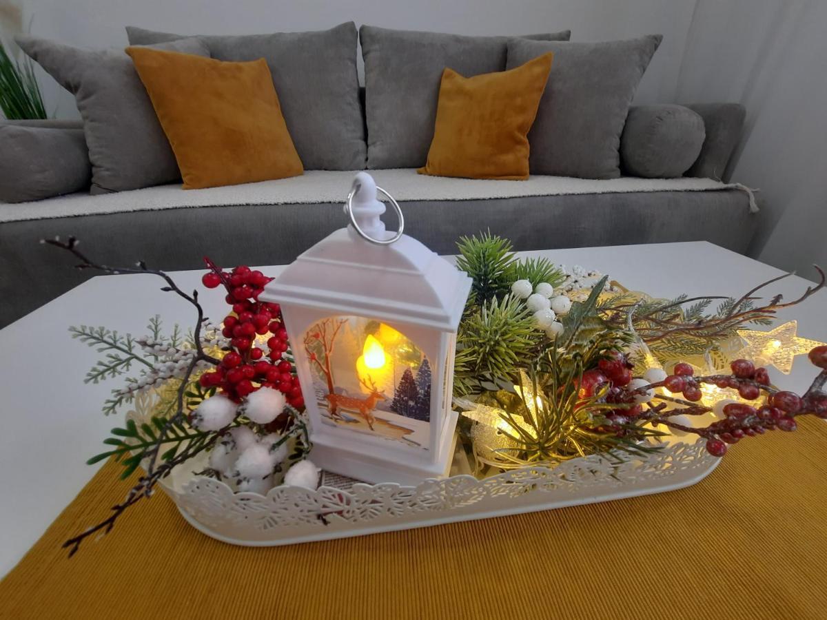 Vrnjačka Banja Bankovic Apartman מראה חיצוני תמונה